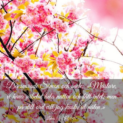 Picture 03 - Lukas 5:5 SV1917 - Då svarade Simon och sade: »Mästare, vi hava - Bible Verse Picture
