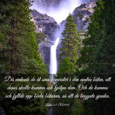 Picture 03 - Lukas 5:7 SV1917 - Då vinkade de åt sina kamrater i den andra - Bible Verse Picture
