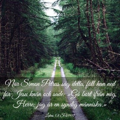 Picture 03 - Lukas 5:8 SV1917 - När Simon Petrus såg detta, föll han ned för - Bible Verse Picture