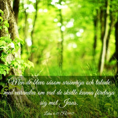 Picture 03 - Lukas 6:11 SV1917 - Men de blevo såsom ursinniga och talade med - Bible Verse Picture