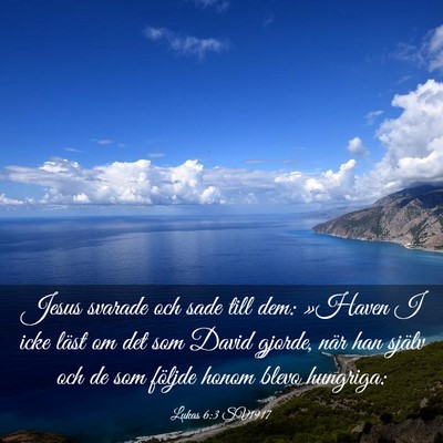 Picture 03 - Lukas 6:3 SV1917 - Jesus svarade och sade till dem: »Haven I icke - Bible Verse Picture