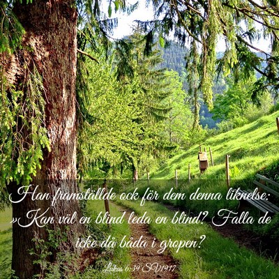 Picture 03 - Lukas 6:39 SV1917 - Han framställde ock för dem denna liknelse: - Bible Verse Picture