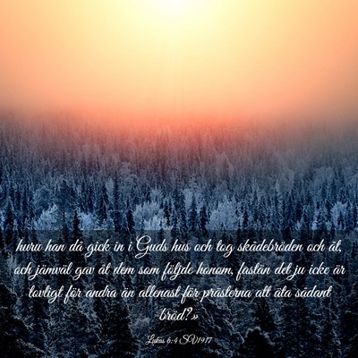 Picture 03 - Lukas 6:4 SV1917 - huru han då gick in i Guds hus och tog - Bible Verse Picture