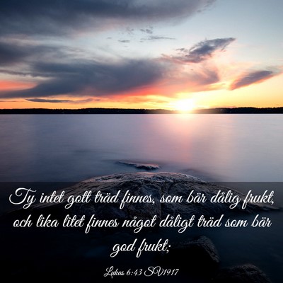 Picture 03 - Lukas 6:43 SV1917 - Ty intet gott träd finnes, som bär dålig - Bible Verse Picture