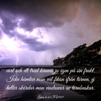 Picture 03 - Lukas 6:44 SV1917 - vart och ett träd kännes ju igen på sin frukt. - Bible Verse Picture