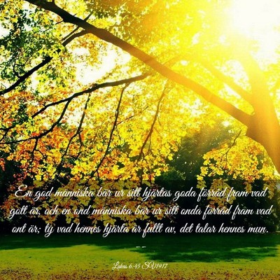 Picture 03 - Lukas 6:45 SV1917 - En god människa bär ur sitt hjärtas goda - Bible Verse Picture