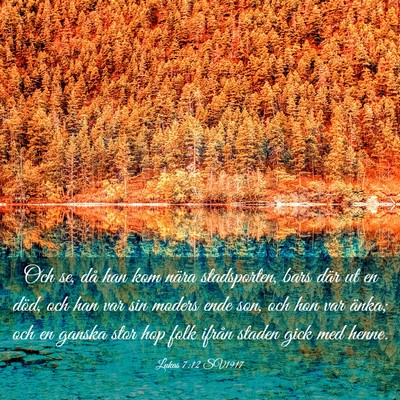Picture 03 - Lukas 7:12 SV1917 - Och se, då han kom nära stadsporten, bars där - Bible Verse Picture