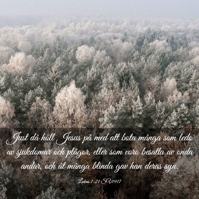 Picture 03 - Lukas 7:21 SV1917 - Just då höll Jesus på med att bota många som - Bible Verse Picture