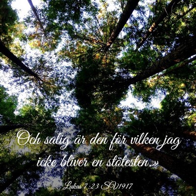 Picture 03 - Lukas 7:23 SV1917 - Och salig är den för vilken jag icke bliver en - Bible Verse Picture
