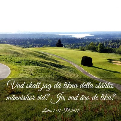 Picture 03 - Lukas 7:31 SV1917 - Vad skall jag då likna detta släktes människor - Bible Verse Picture