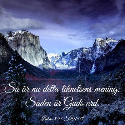 Picture 03 - Lukas 8:11 SV1917 - Så är nu detta liknelsens mening: Säden är - Bible Verse Picture