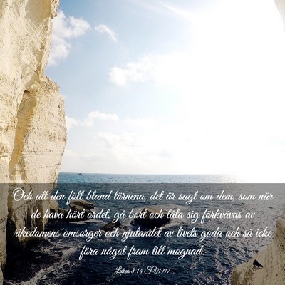 Picture 03 - Lukas 8:14 SV1917 - Och att den föll bland törnena, det är sagt om - Bible Verse Picture
