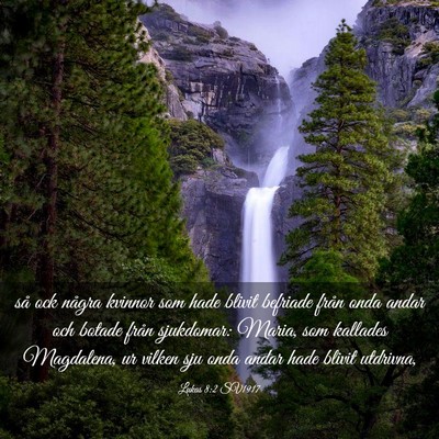 Picture 03 - Lukas 8:2 SV1917 - så ock några kvinnor som hade blivit befriade - Bible Verse Picture