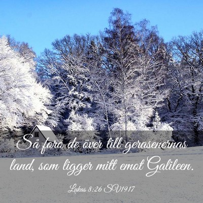 Picture 03 - Lukas 8:26 SV1917 - Så foro de över till gerasenernas land, som - Bible Verse Picture