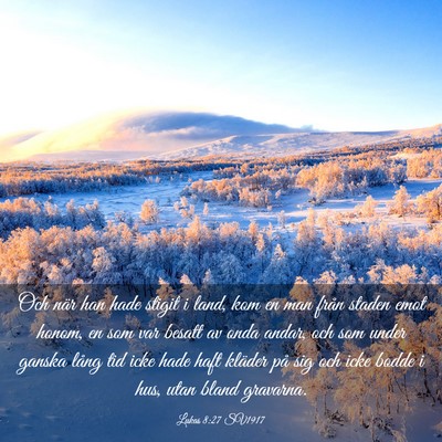 Picture 03 - Lukas 8:27 SV1917 - Och när han hade stigit i land, kom en man från - Bible Verse Picture