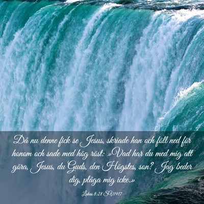 Picture 03 - Lukas 8:28 SV1917 - Då nu denne fick se Jesus, skriade han och föll - Bible Verse Picture