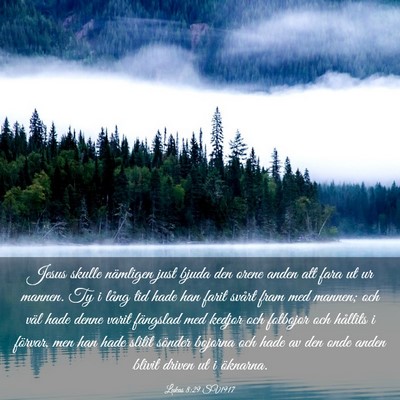 Picture 03 - Lukas 8:29 SV1917 - Jesus skulle nämligen just bjuda den orene anden - Bible Verse Picture