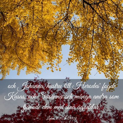 Picture 03 - Lukas 8:3 SV1917 - och Johanna, hustru till Herodes' fogde Kusas, - Bible Verse Picture