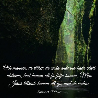 Picture 03 - Lukas 8:38 SV1917 - Och mannen, ur vilken de onda andarna hade blivit - Bible Verse Picture