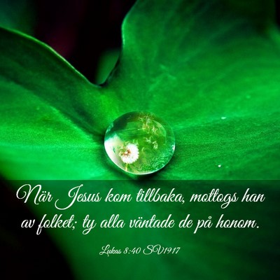 Picture 03 - Lukas 8:40 SV1917 - När Jesus kom tillbaka, mottogs han av folket; - Bible Verse Picture