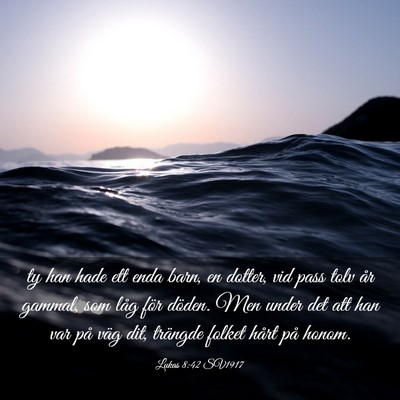 Picture 03 - Lukas 8:42 SV1917 - ty han hade ett enda barn, en dotter, vid pass - Bible Verse Picture