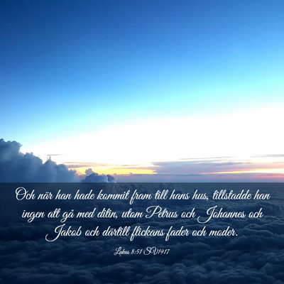 Picture 03 - Lukas 8:51 SV1917 - Och när han hade kommit fram till hans hus, - Bible Verse Picture