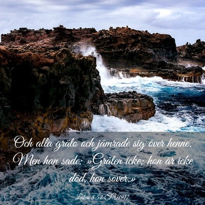 Picture 03 - Lukas 8:52 SV1917 - Och alla gräto och jämrade sig över henne. Men - Bible Verse Picture