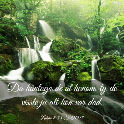 Picture 03 - Lukas 8:53 SV1917 - Då hånlogo de åt honom, ty de visste ju att - Bible Verse Picture