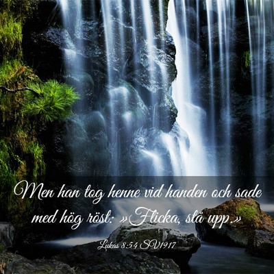 Picture 03 - Lukas 8:54 SV1917 - Men han tog henne vid handen och sade med hög - Bible Verse Picture