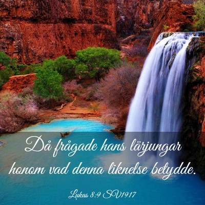 Picture 03 - Lukas 8:9 SV1917 - Då frågade hans lärjungar honom vad denna - Bible Verse Picture