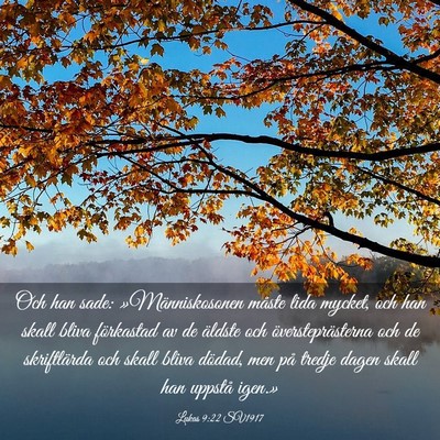 Picture 03 - Lukas 9:22 SV1917 - Och han sade: »Människosonen måste lida - Bible Verse Picture