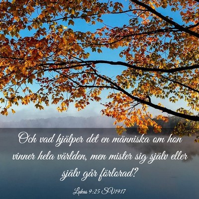 Picture 03 - Lukas 9:25 SV1917 - Och vad hjälper det en människa om hon vinner - Bible Verse Picture