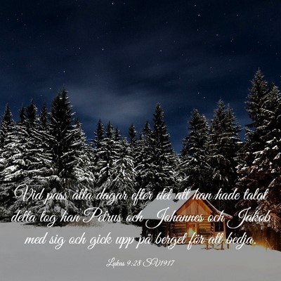 Picture 03 - Lukas 9:28 SV1917 - Vid pass åtta dagar efter det att han hade talat - Bible Verse Picture