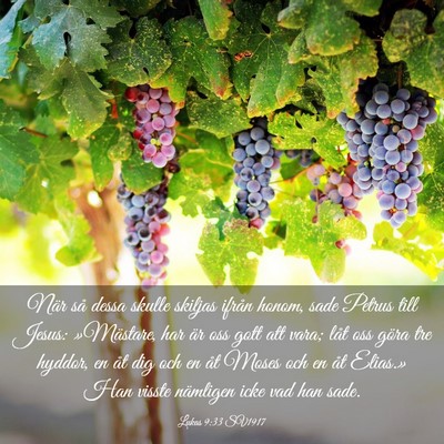 Picture 03 - Lukas 9:33 SV1917 - När så dessa skulle skiljas ifrån honom, sade - Bible Verse Picture