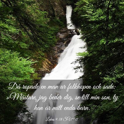 Picture 03 - Lukas 9:38 SV1917 - Då ropade en man ur folkhopen och sade: - Bible Verse Picture
