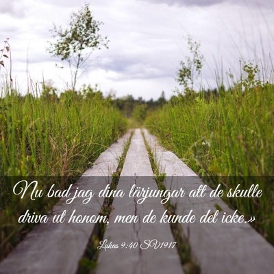 Picture 03 - Lukas 9:40 SV1917 - Nu bad jag dina lärjungar att de skulle driva ut - Bible Verse Picture