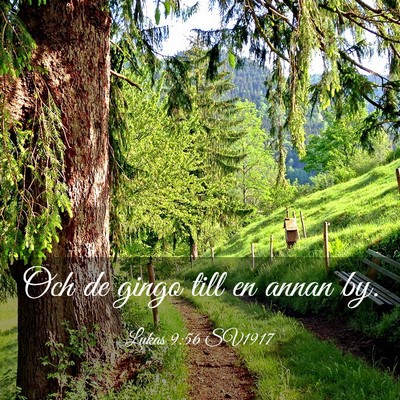 Picture 03 - Lukas 9:56 SV1917 - Och de gingo till en annan - Bible Verse Picture