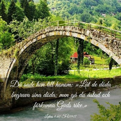 Picture 03 - Lukas 9:60 SV1917 - Då sade han till honom: »Låt de döda begrava - Bible Verse Picture
