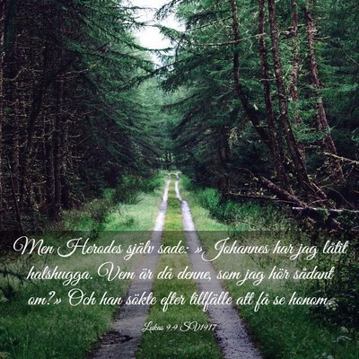 Picture 03 - Lukas 9:9 SV1917 - Men Herodes själv sade: »Johannes har jag - Bible Verse Picture