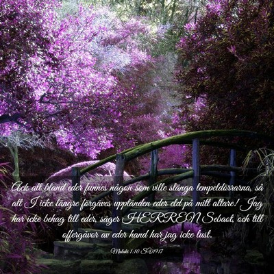 Picture 03 - Malaki 1:10 SV1917 - Ack att bland eder funnes någon som ville - Bible Verse Picture