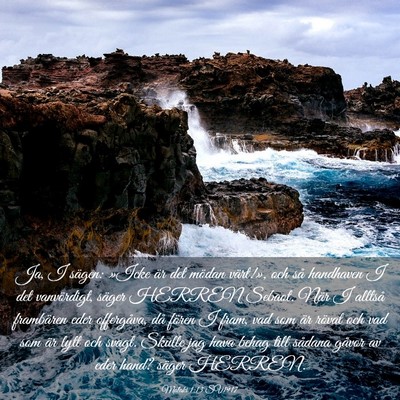 Picture 03 - Malaki 1:13 SV1917 - Ja, I sägen: »Icke är det mödan värt!», och - Bible Verse Picture