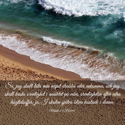 Picture 03 - Malaki 2:3 SV1917 - Se, jag skall låta min näpst drabba eder - Bible Verse Picture