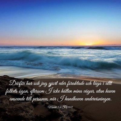 Picture 03 - Malaki 2:9 SV1917 - Därför har ock jag gjort eder föraktade och - Bible Verse Picture