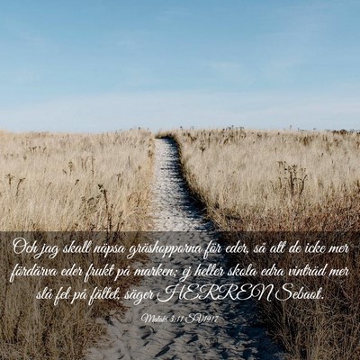 Picture 03 - Malaki 3:11 SV1917 - Och jag skall näpsa gräshopporna för eder, så - Bible Verse Picture