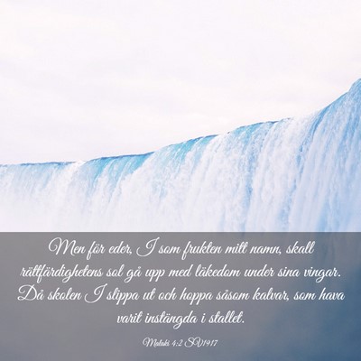 Picture 03 - Malaki 4:2 SV1917 - Men för eder, I som frukten mitt namn, skall - Bible Verse Picture