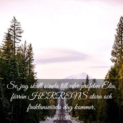 Picture 03 - Malaki 4:5 SV1917 - Se, jag skall sända till eder profeten Elia, - Bible Verse Picture