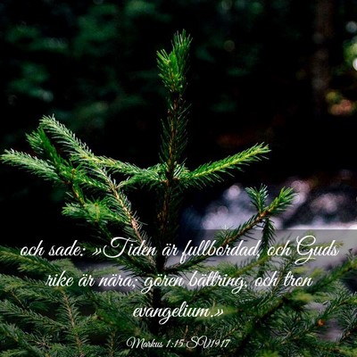 Picture 03 - Markus 1:15 SV1917 - och sade: »Tiden är fullbordad, och Guds rike - Bible Verse Picture