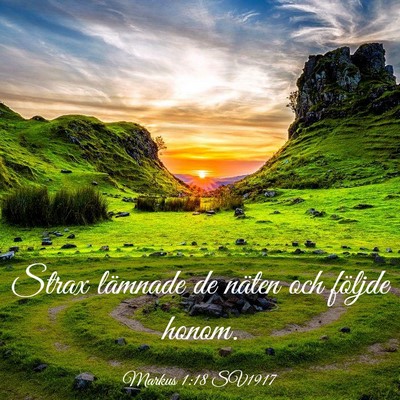 Picture 03 - Markus 1:18 SV1917 - Strax lämnade de näten och följde - Bible Verse Picture