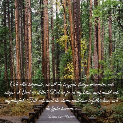 Picture 03 - Markus 1:27 SV1917 - Och alla häpnade, så att de begynte fråga - Bible Verse Picture