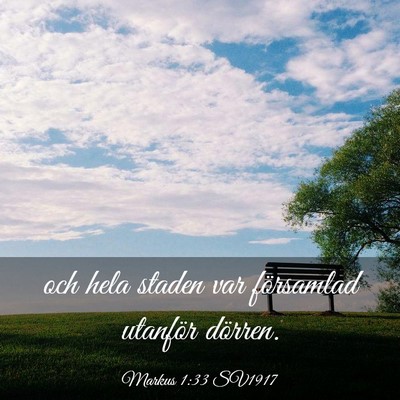 Picture 03 - Markus 1:33 SV1917 - och hela staden var församlad utanför - Bible Verse Picture